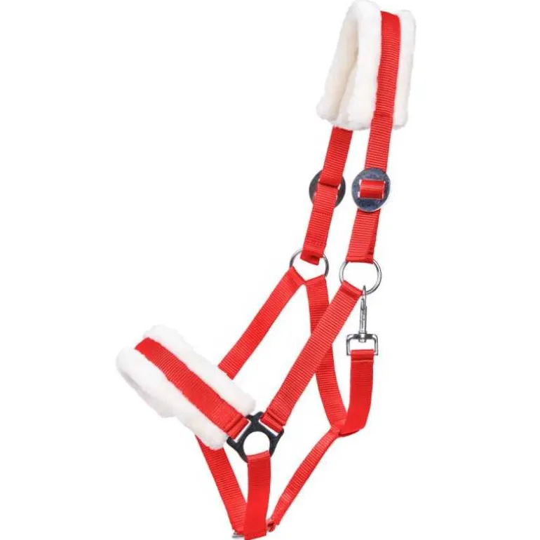 Licol Cali Q-Essentials