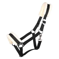 Licol Cali Q-Essentials