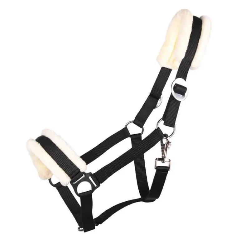 Licol Cali Q-Essentials