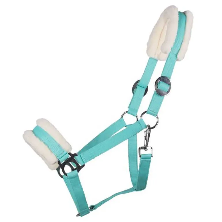 Licol Cali Q-Essentials