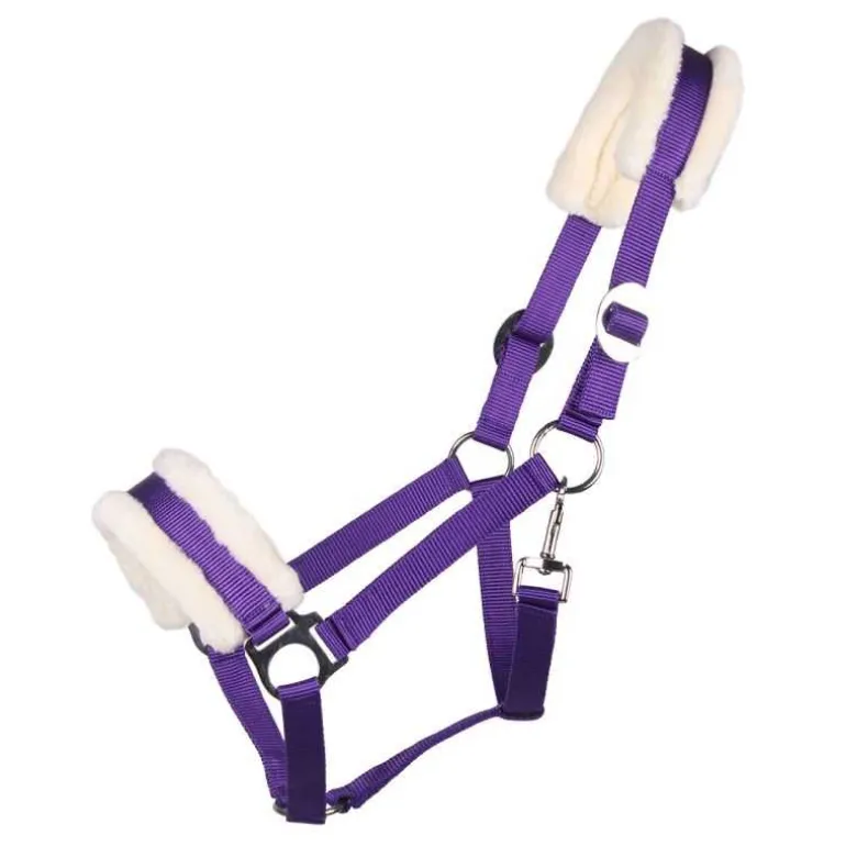 Licol Cali Q-Essentials