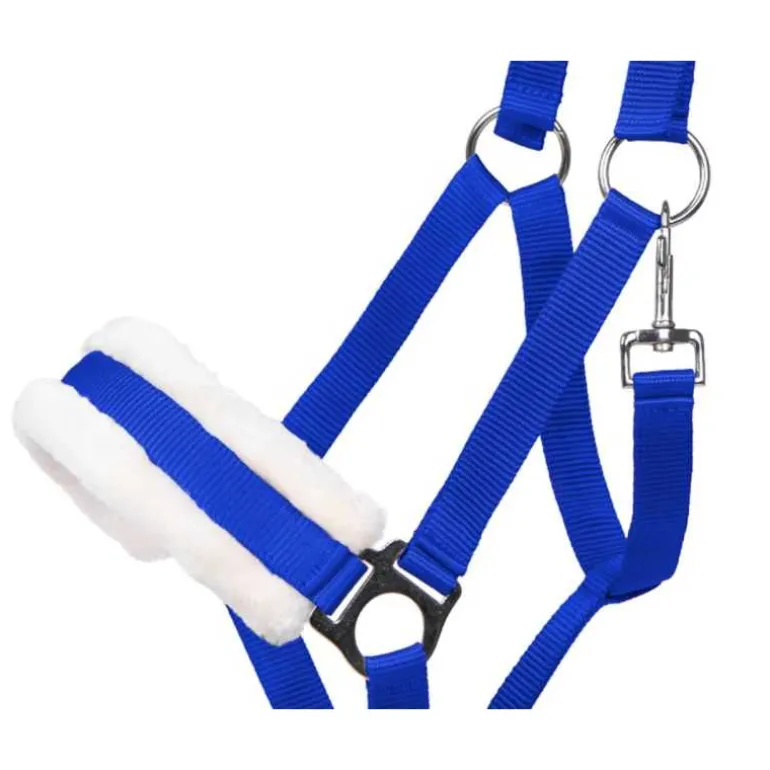 Licol Cali Q-Essentials