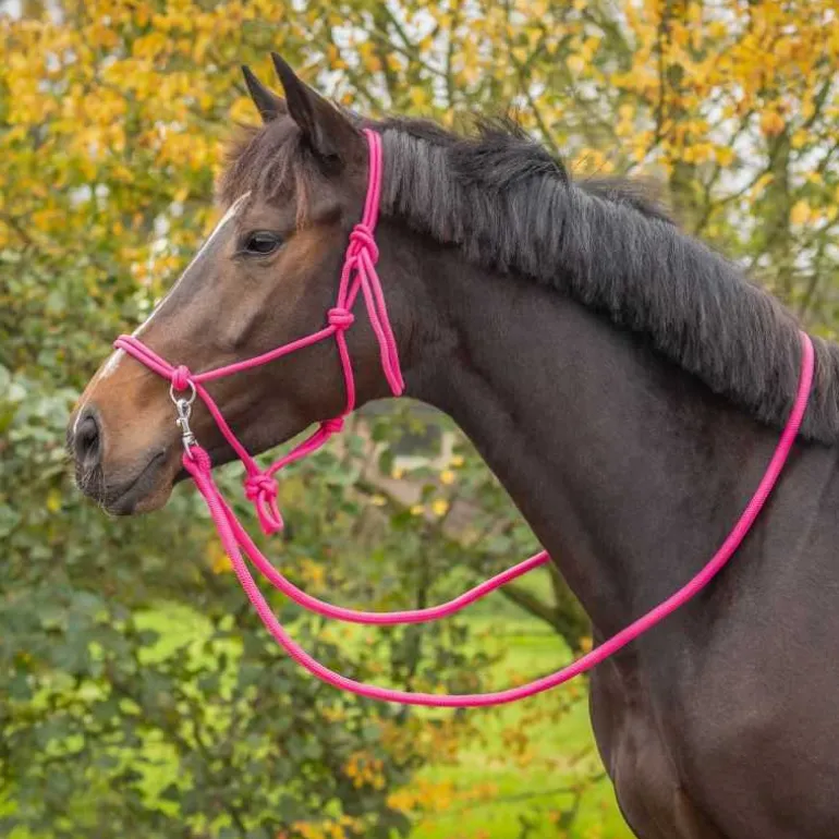 Licol corde Color avec rênes Q-Essentials