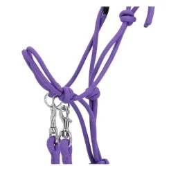 Licol corde Color avec rênes Q-Essentials