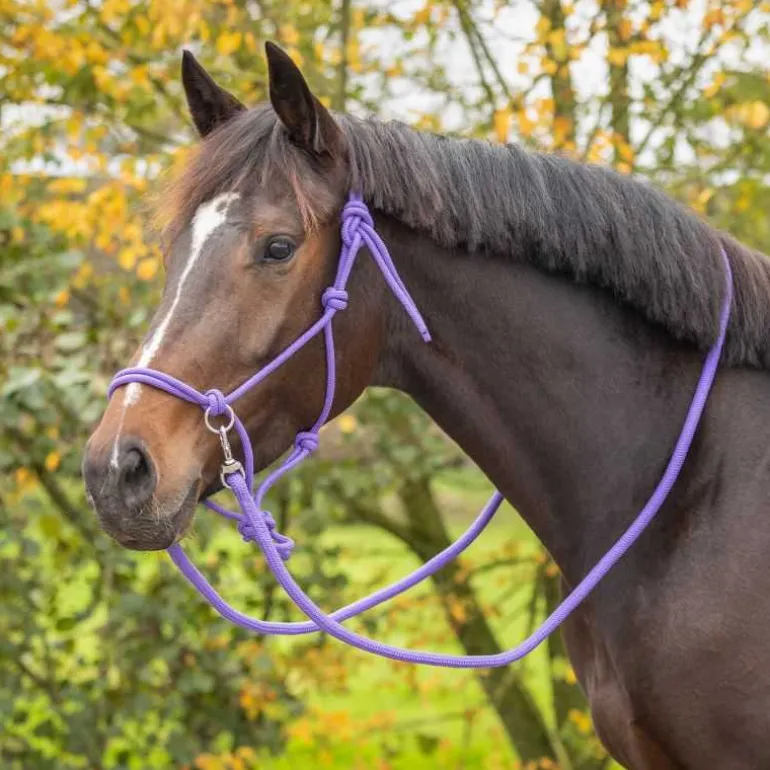 Licol corde Color avec rênes Q-Essentials