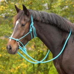 Licol corde Color avec rênes Q-Essentials