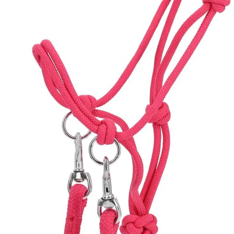 Licol corde Color avec rênes Q-Essentials