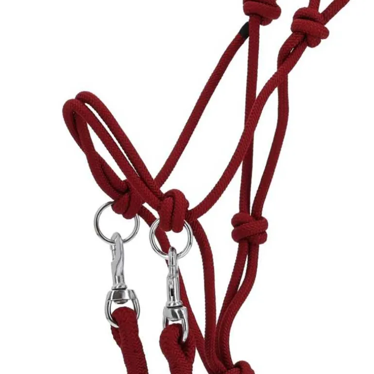 Licol corde Color avec rênes Q-Essentials