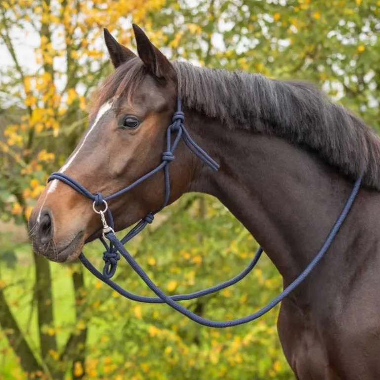Licol corde Color avec rênes Q-Essentials