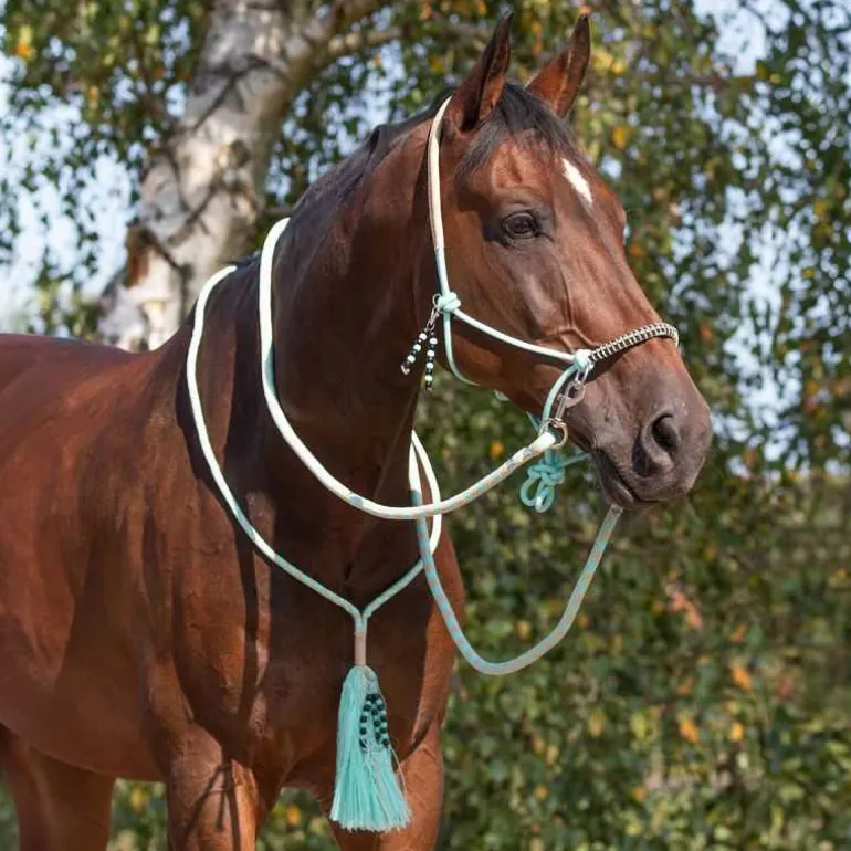 Licol corde et cordelette Liberty QHP