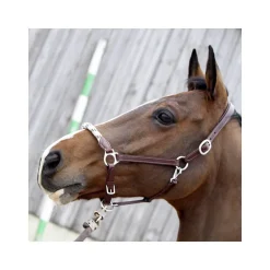 Licol cuir avec muserolle corde Stationata