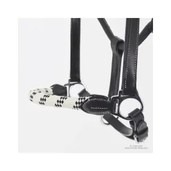 Licol cuir avec muserolle corde Stationata