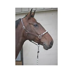Licol cuir avec muserolle corde Stationata