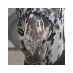 Licol cuir avec muserolle corde Stationata