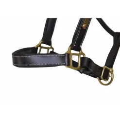 Licol cuir avec plaque T de T