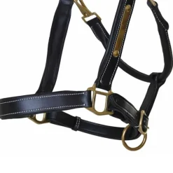 Licol cuir avec plaque T de T