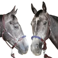 Licol cuir et corde CANTER