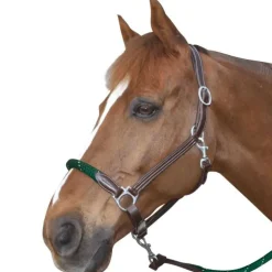 Licol cuir et corde CANTER