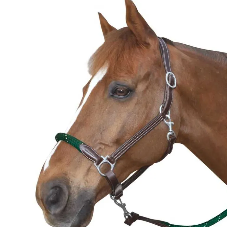 Licol cuir et corde CANTER