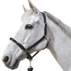 Licol cuir et corde CANTER