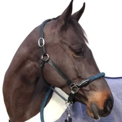 Licol cuir et corde CANTER