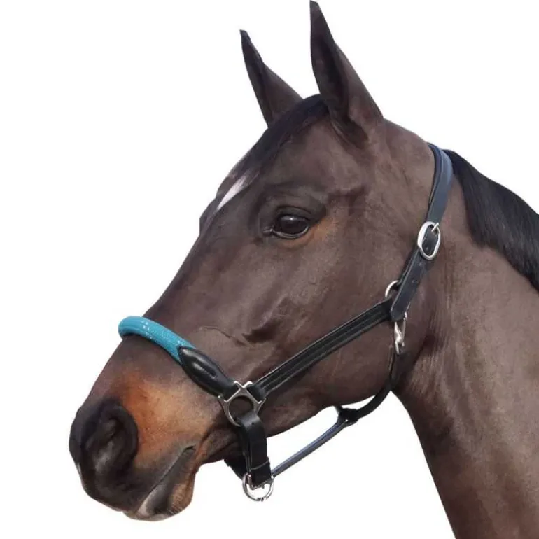 Licol cuir et corde CANTER