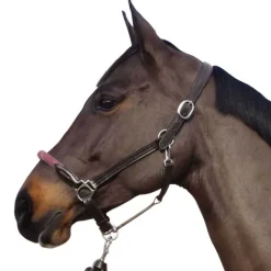 Licol cuir et corde CANTER