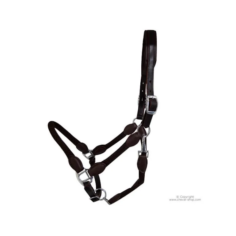 Licol cuir et corde Stationata