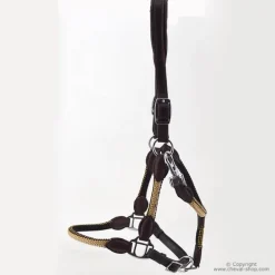 Licol cuir et corde Stationata