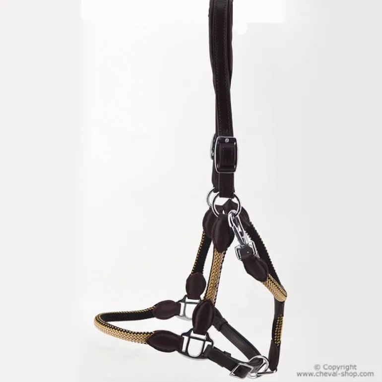 Licol cuir et corde Stationata