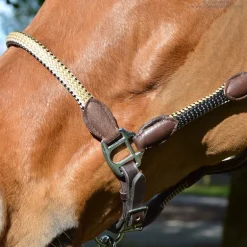 Licol cuir et corde Stationata