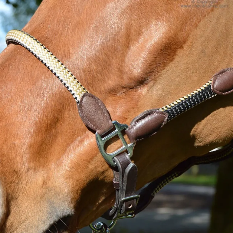 Licol cuir et corde Stationata