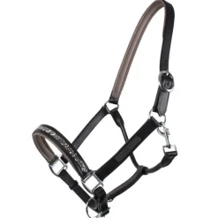 Licol cuir Lupine QHP