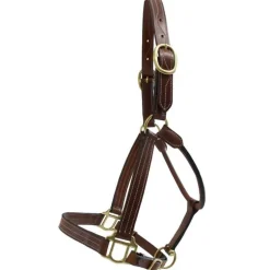 Licol cuir triple couture T de T