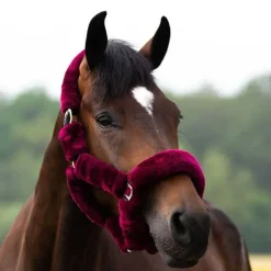 Licol de transport Alaska QHP