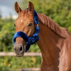 Licol de transport Alaska QHP