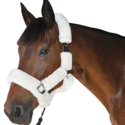 Licol de transport Canter