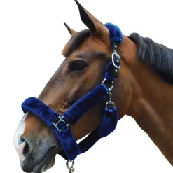 Licol de Transport Flags&Cup