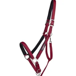 Licol Deluxe cheval de trait QHP