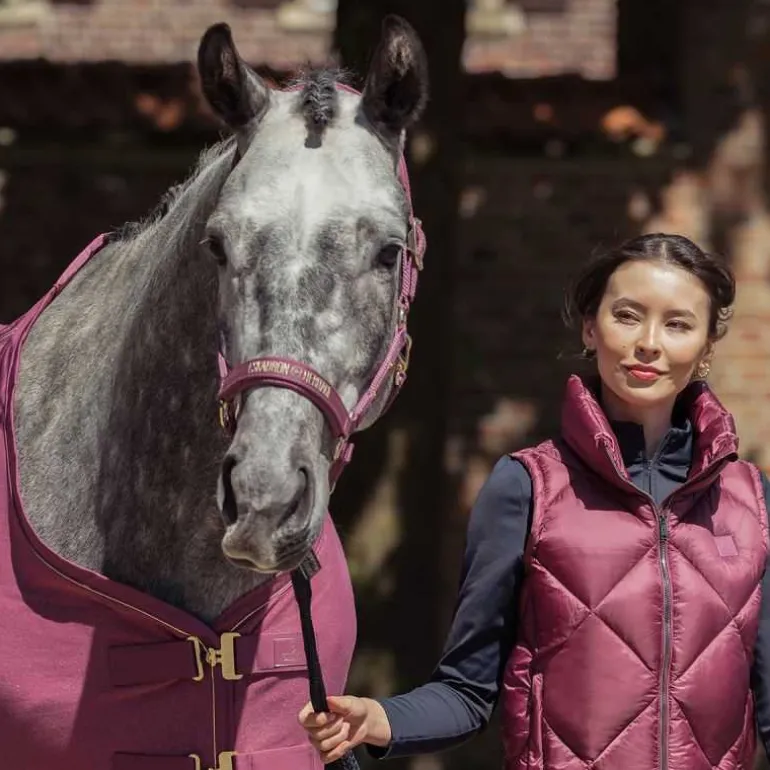 Licol Double Pin Heritage Eskadron