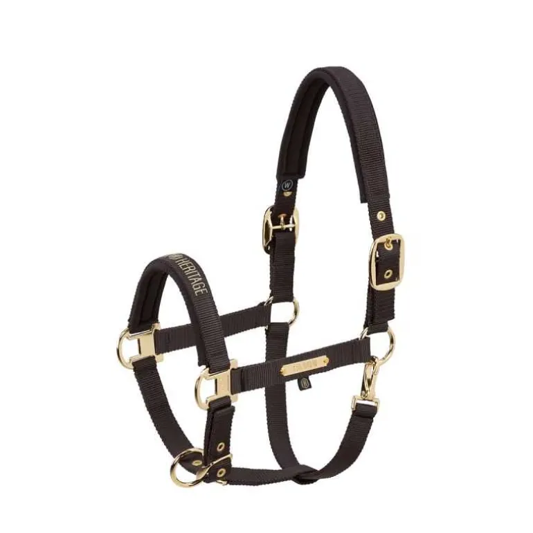 Licol Double Pin Heritage Eskadron