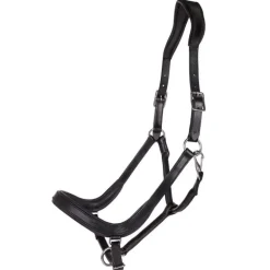 Licol en cuir anatomique Salerno QHP