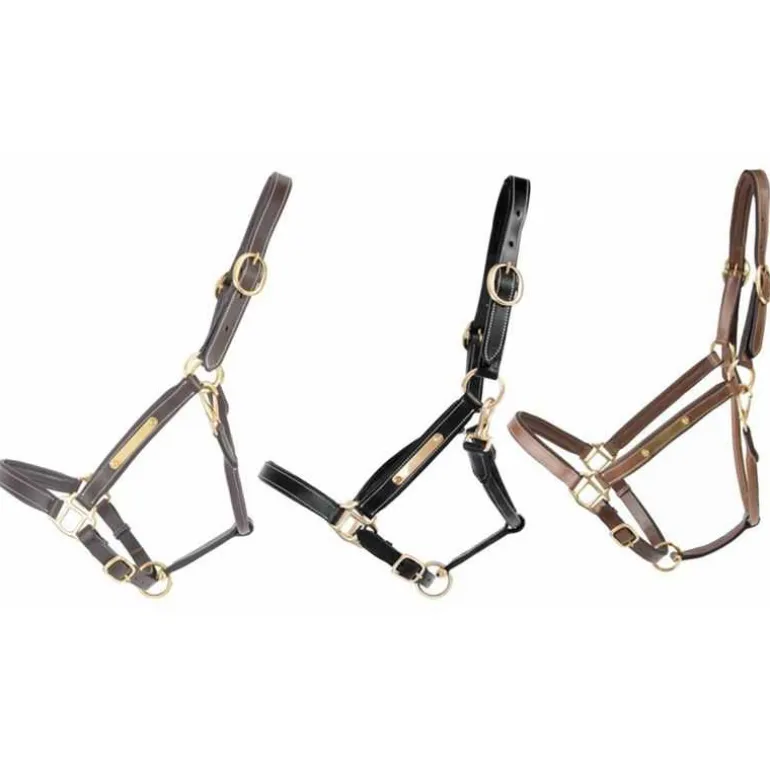 Licol en cuir avec plaque T de T