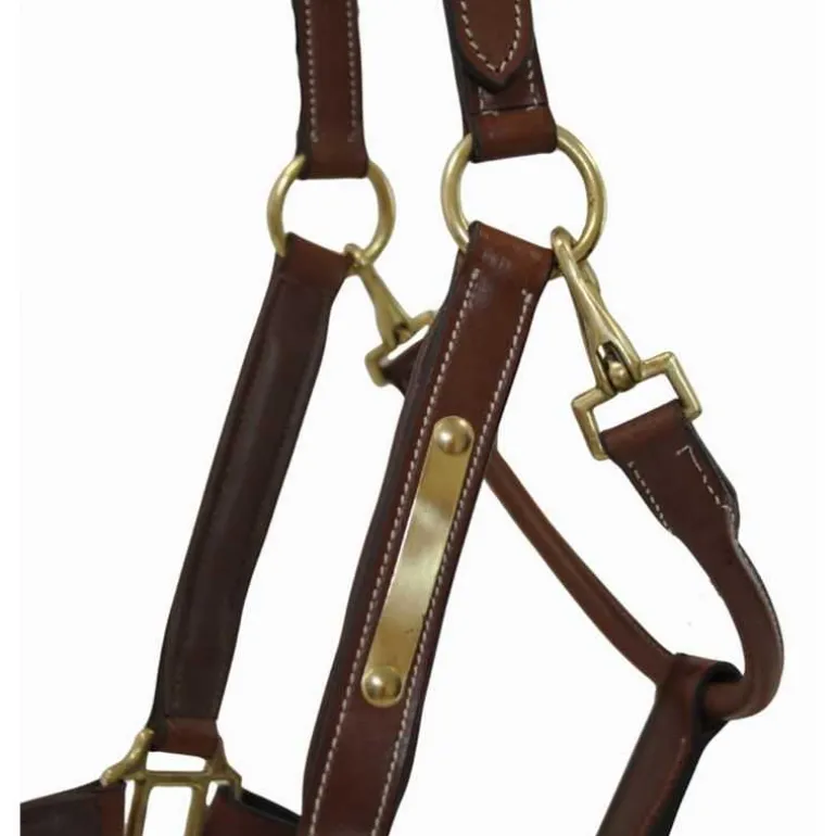 Licol en cuir avec plaque T de T