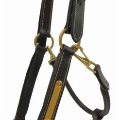 Licol en cuir avec plaque T de T