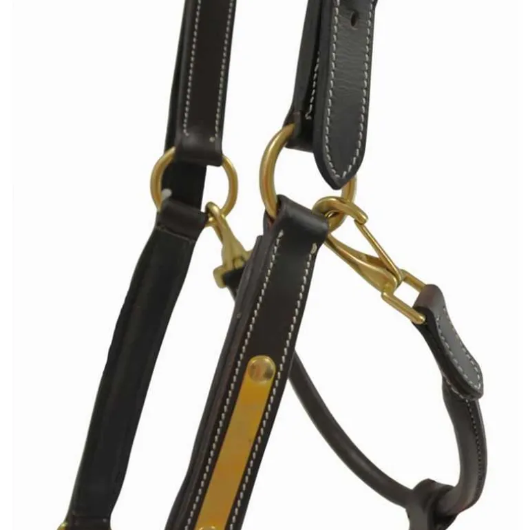 Licol en cuir avec plaque T de T