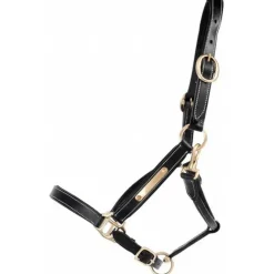 Licol en cuir avec plaque T de T