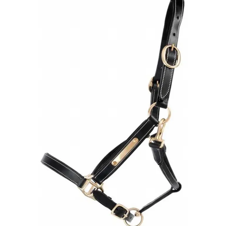 Licol en cuir avec plaque T de T