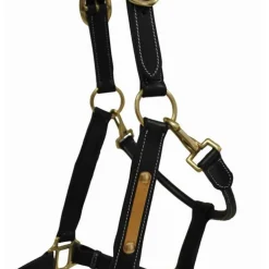 Licol en cuir avec plaque T de T