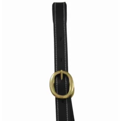 Licol en cuir avec plaque T de T